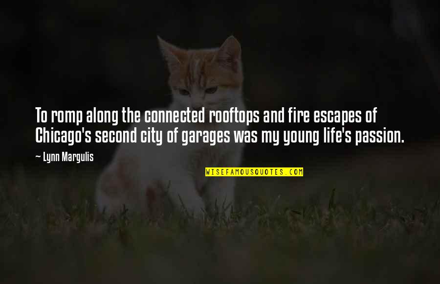 Pantelion Logo Quotes By Lynn Margulis: To romp along the connected rooftops and fire
