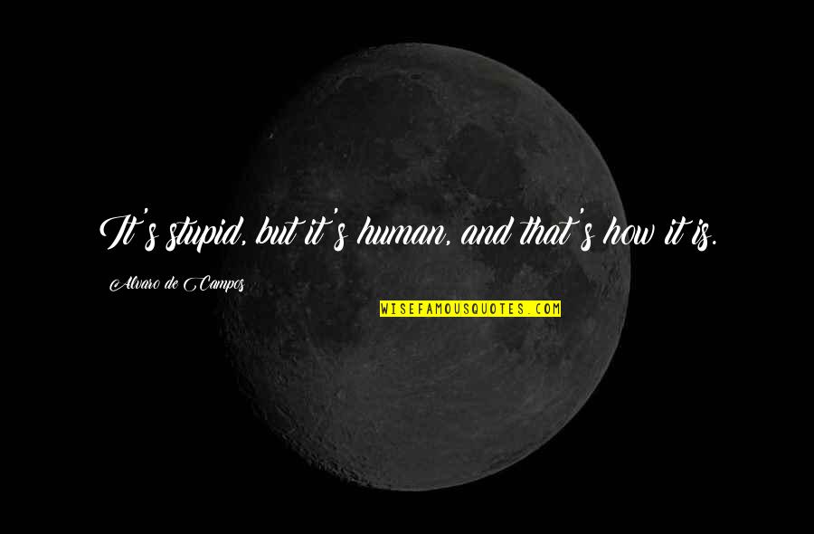 Pantheism Quotes By Alvaro De Campos: It's stupid, but it's human, and that's how
