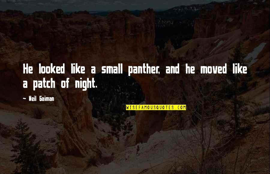 Panther Quotes By Neil Gaiman: He looked like a small panther, and he
