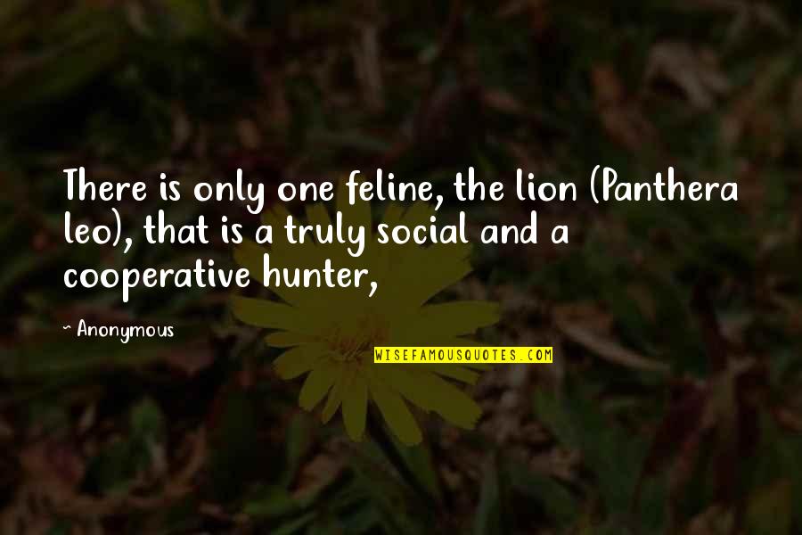 Panthera Quotes By Anonymous: There is only one feline, the lion (Panthera