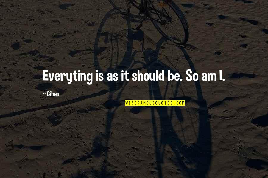 Pantlessness Quotes By Cihan: Everyting is as it should be. So am