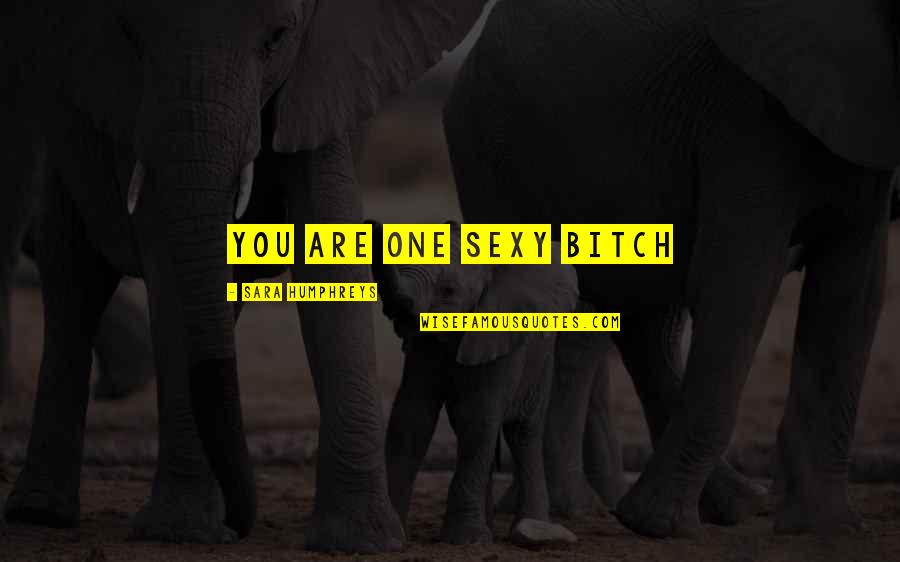Pantley Mugshot Quotes By Sara Humphreys: You are one sexy bitch Pantley Mugshot Quotes By Sara Humphreys: You are one sexy bitch