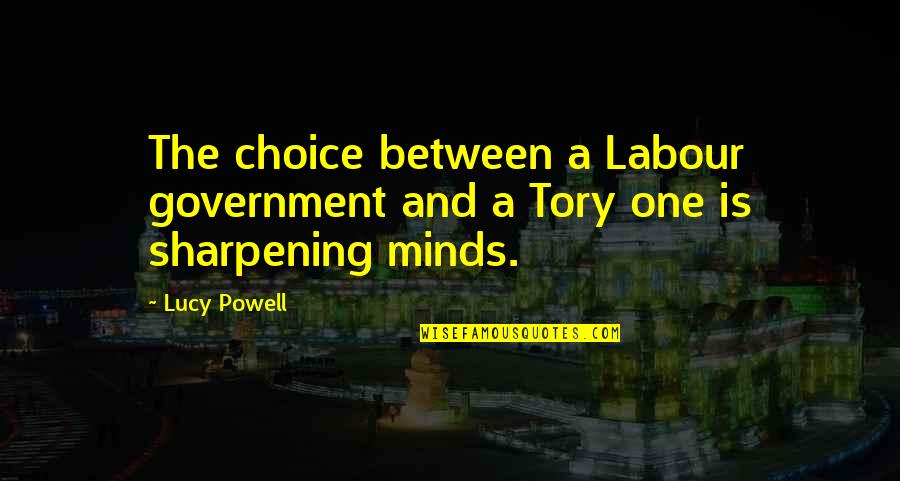 Panzehir Nedir Quotes By Lucy Powell: The choice between a Labour government and a