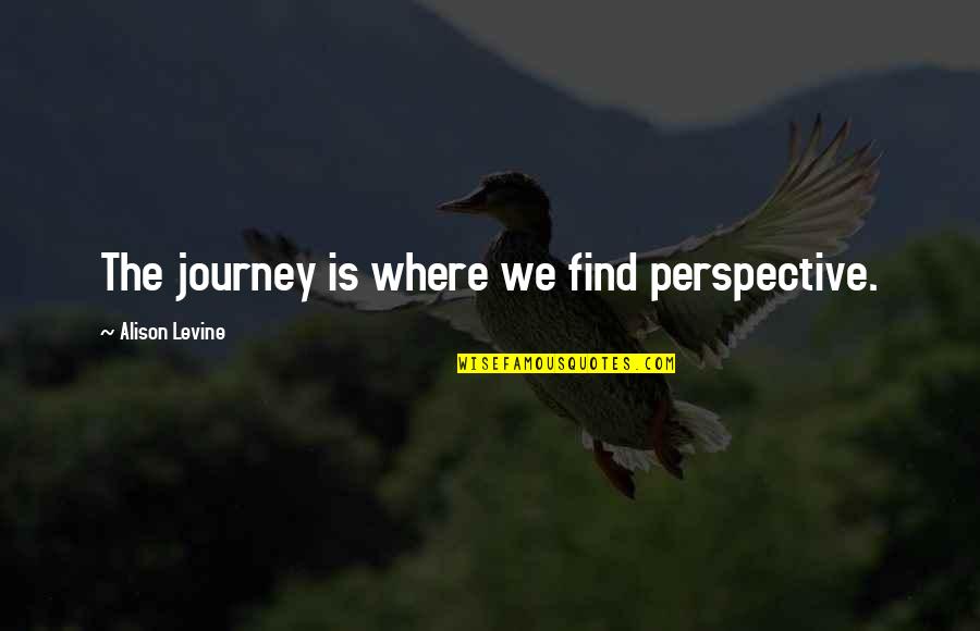 Paoluccis Quotes By Alison Levine: The journey is where we find perspective.