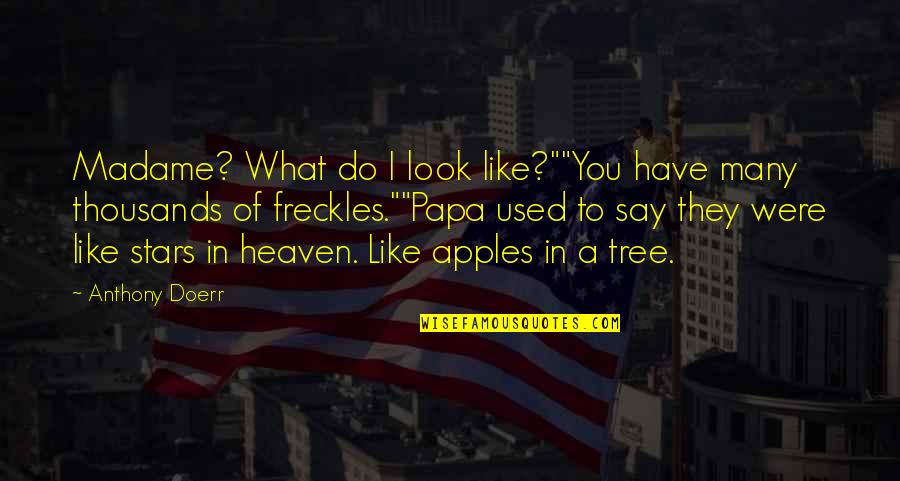 Papa In Heaven Quotes By Anthony Doerr: Madame? What do I look like?""You have many Papa In Heaven Quotes By Anthony Doerr: Madame? What do I look like?""You have many