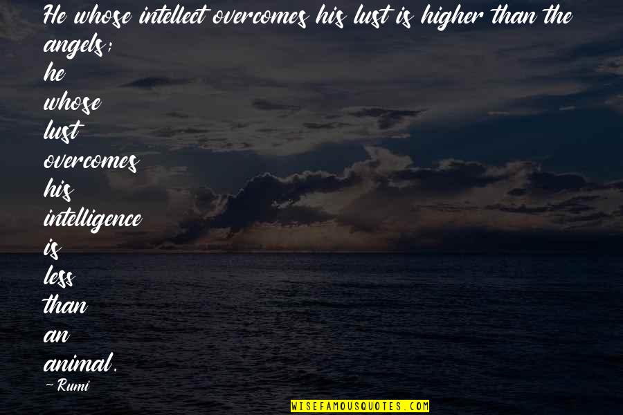 Papa Juan Pablo Quotes By Rumi: He whose intellect overcomes his lust is higher Papa Juan Pablo Quotes By Rumi: He whose intellect overcomes his lust is higher