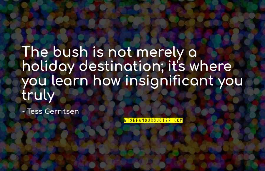 Papachristos Andreas Quotes By Tess Gerritsen: The bush is not merely a holiday destination;