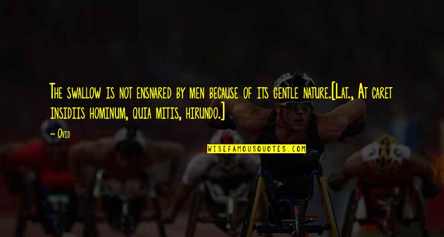 Papagiannidis Quotes By Ovid: The swallow is not ensnared by men because Papagiannidis Quotes By Ovid: The swallow is not ensnared by men because