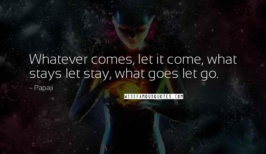 Papaji quotes: Whatever comes, let it come, what stays let stay, what goes let go.