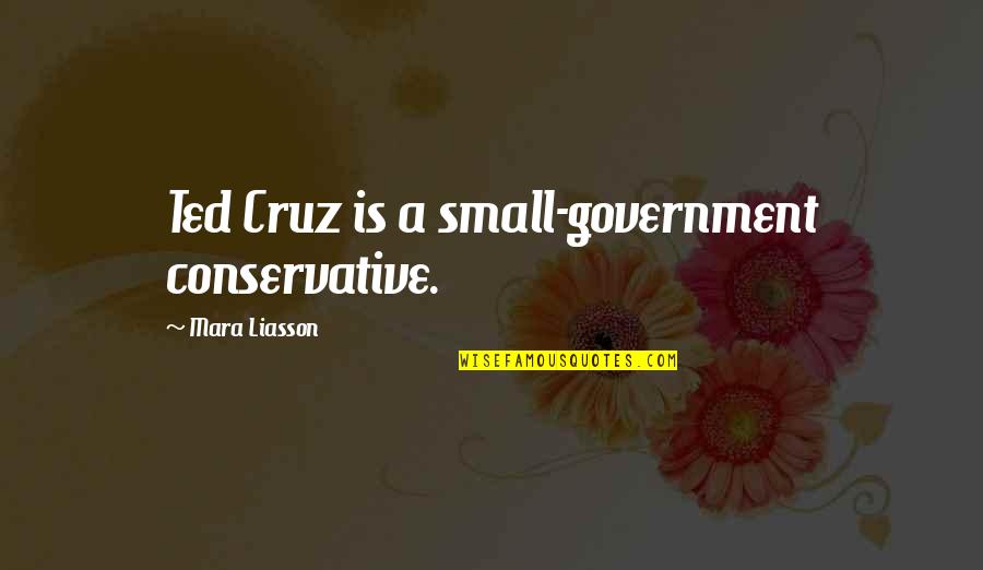 Papansin Quotes By Mara Liasson: Ted Cruz is a small-government conservative.