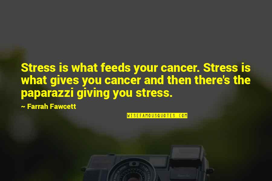 Paparazzi'd Quotes By Farrah Fawcett: Stress is what feeds your cancer. Stress is Paparazzi'd Quotes By Farrah Fawcett: Stress is what feeds your cancer. Stress is