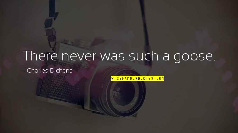 Paper Princess Book Quotes By Charles Dickens: There never was such a goose. Paper Princess Book Quotes By Charles Dickens: There never was such a goose.