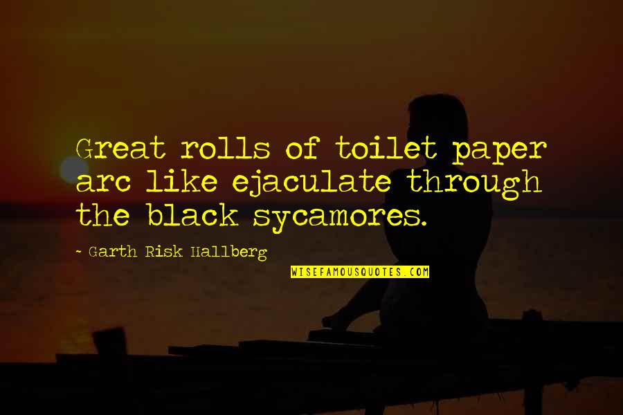 Paper With Quotes By Garth Risk Hallberg: Great rolls of toilet paper arc like ejaculate