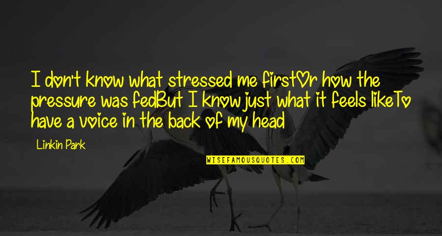 Papercut Linkin Quotes By Linkin Park: I don't know what stressed me firstOr how