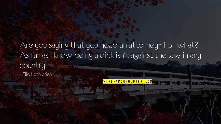 Papierosy W Quotes By Elle Lothlorien: Are you saying that you need an attorney? Papierosy W Quotes By Elle Lothlorien: Are you saying that you need an attorney?