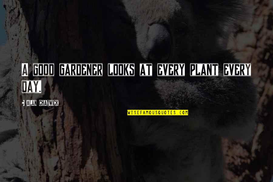 Papinha Cerelac Quotes By Alan Chadwick: A good gardener looks at every plant every