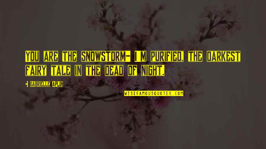 Pappalardo Fence Quotes By Gabrielle Aplin: You are the snowstorm- I'm purified, the darkest