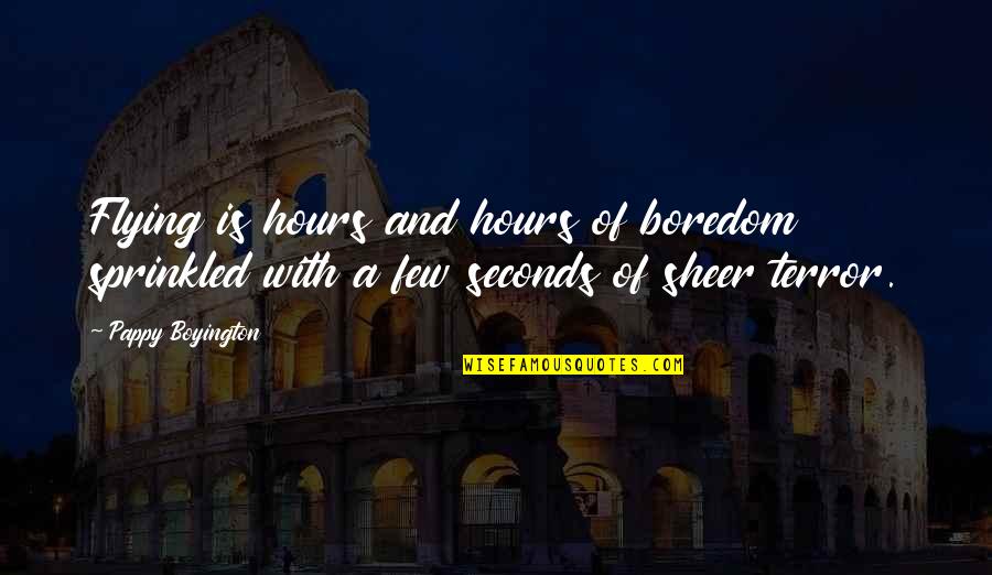 Pappy's Quotes By Pappy Boyington: Flying is hours and hours of boredom sprinkled Pappy's Quotes By Pappy Boyington: Flying is hours and hours of boredom sprinkled