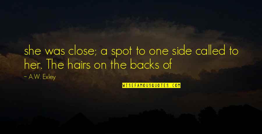 Para Mim Ou Quotes By A.W. Exley: she was close; a spot to one side