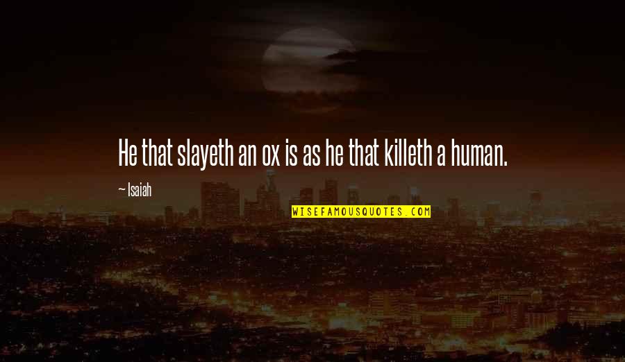Para Quotes By Isaiah: He that slayeth an ox is as he