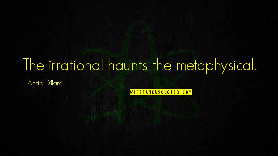 Parabens Feliz Quotes By Annie Dillard: The irrational haunts the metaphysical.