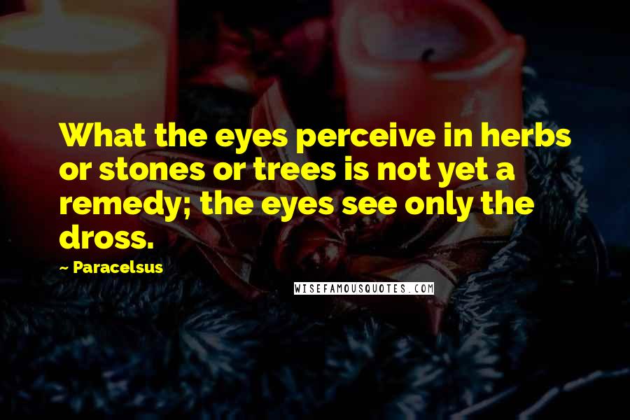 Paracelsus quotes: What the eyes perceive in herbs or stones or trees is not yet a remedy; the eyes see only the dross.