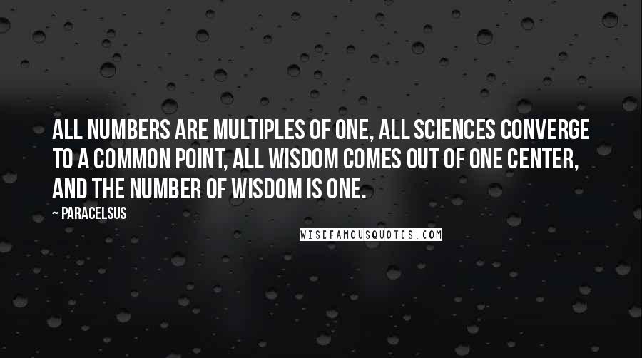 Paracelsus quotes: All numbers are multiples of one, all sciences converge to a common point, all wisdom comes out of one center, and the number of wisdom is one.