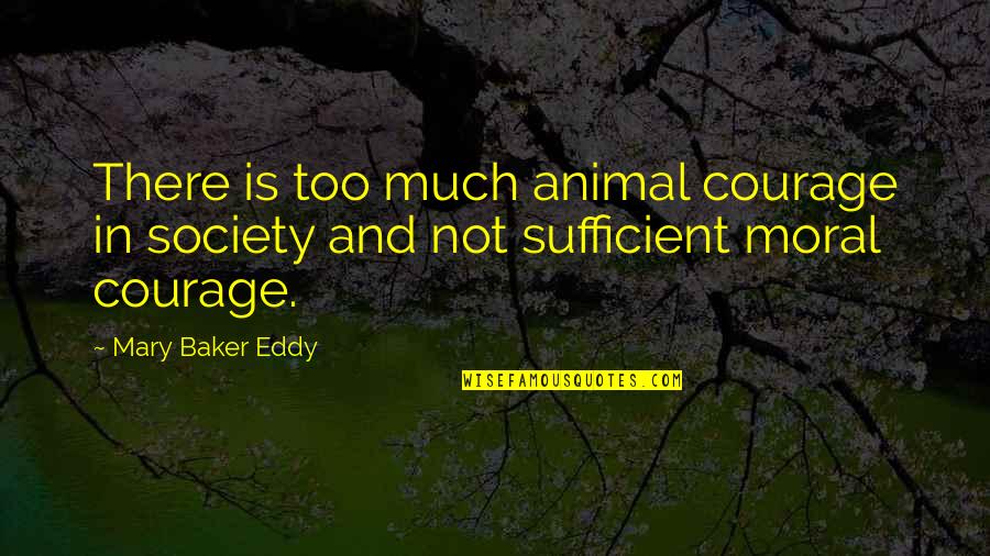 Parachuting Accident Quotes By Mary Baker Eddy: There is too much animal courage in society