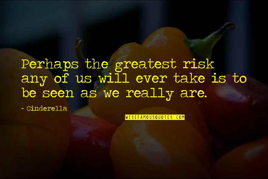 Parada Quotes By Cinderella: Perhaps the greatest risk any of us will