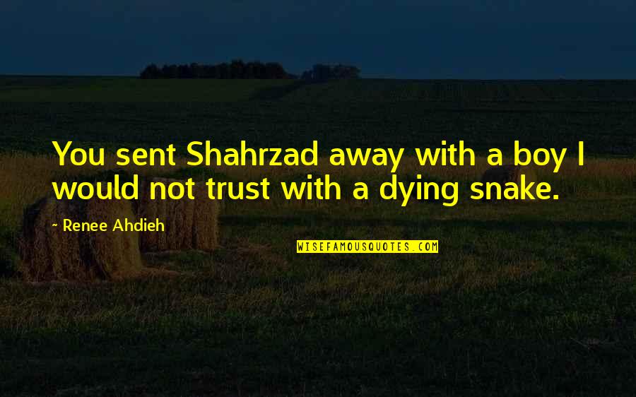 Paradine Stone Quotes By Renee Ahdieh: You sent Shahrzad away with a boy I
