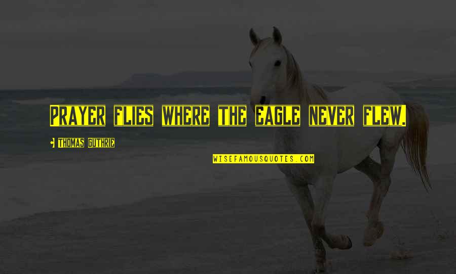 Paradojas En Quotes By Thomas Guthrie: Prayer flies where the eagle never flew. Paradojas En Quotes By Thomas Guthrie: Prayer flies where the eagle never flew.