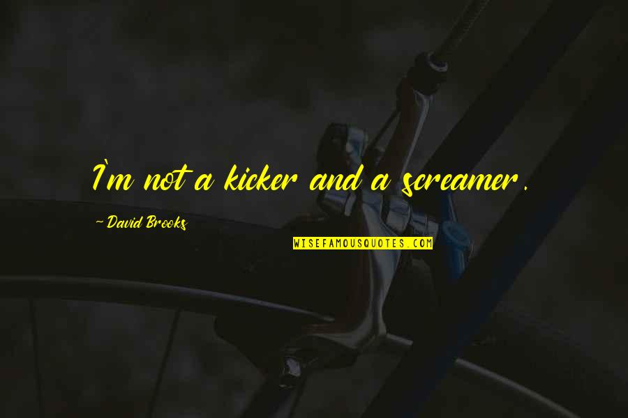Paradoxology Quotes By David Brooks: I'm not a kicker and a screamer. Paradoxology Quotes By David Brooks: I'm not a kicker and a screamer.