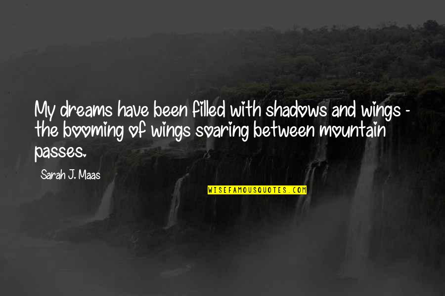 Paragliders In Zelda Quotes By Sarah J. Maas: My dreams have been filled with shadows and Paragliders In Zelda Quotes By Sarah J. Maas: My dreams have been filled with shadows and