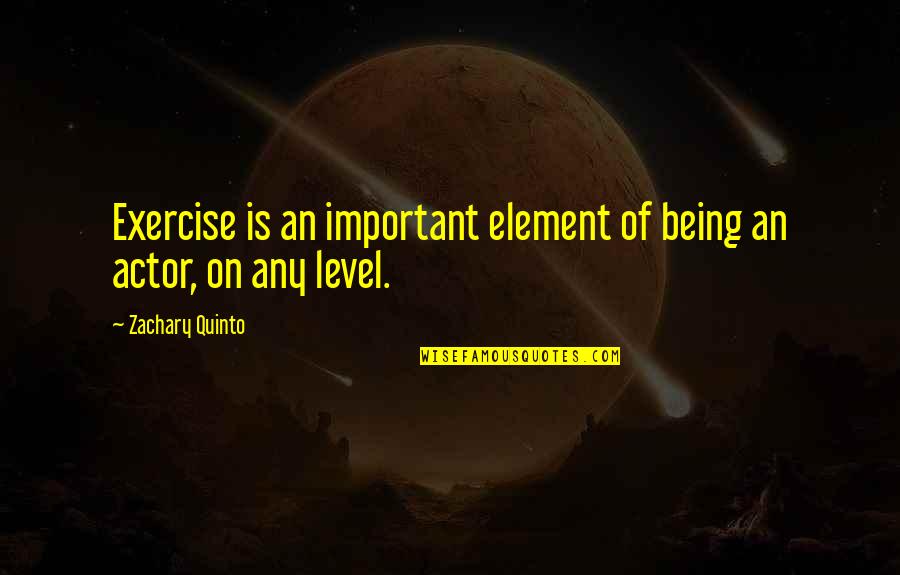 Paragliders With Motor Quotes By Zachary Quinto: Exercise is an important element of being an Paragliders With Motor Quotes By Zachary Quinto: Exercise is an important element of being an
