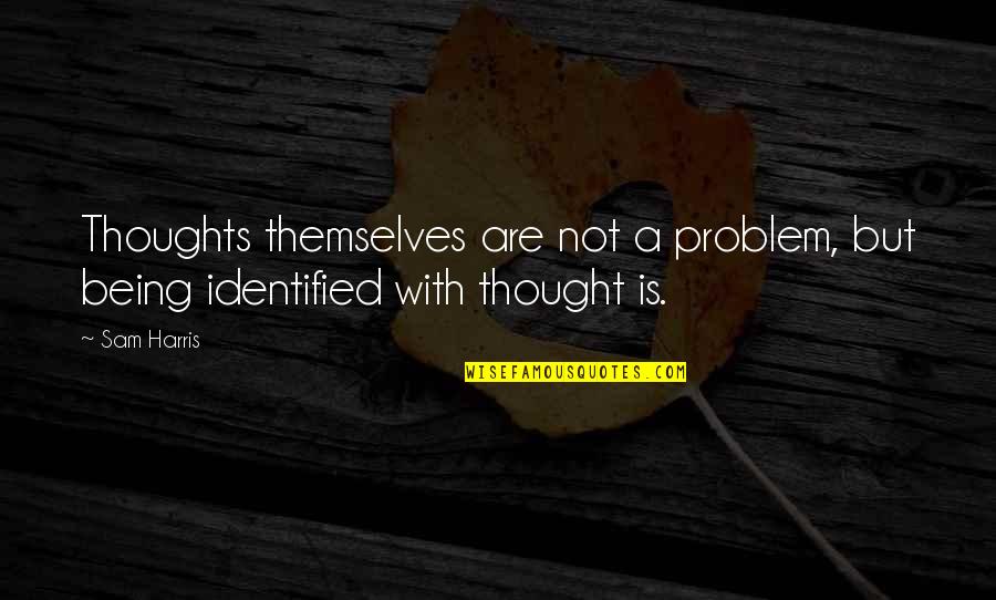 Paragons Quotes By Sam Harris: Thoughts themselves are not a problem, but being