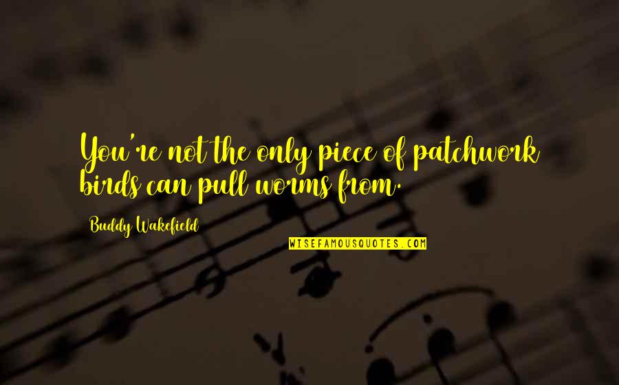 Paragraf Znak Quotes By Buddy Wakefield: You're not the only piece of patchwork birds Paragraf Znak Quotes By Buddy Wakefield: You're not the only piece of patchwork birds