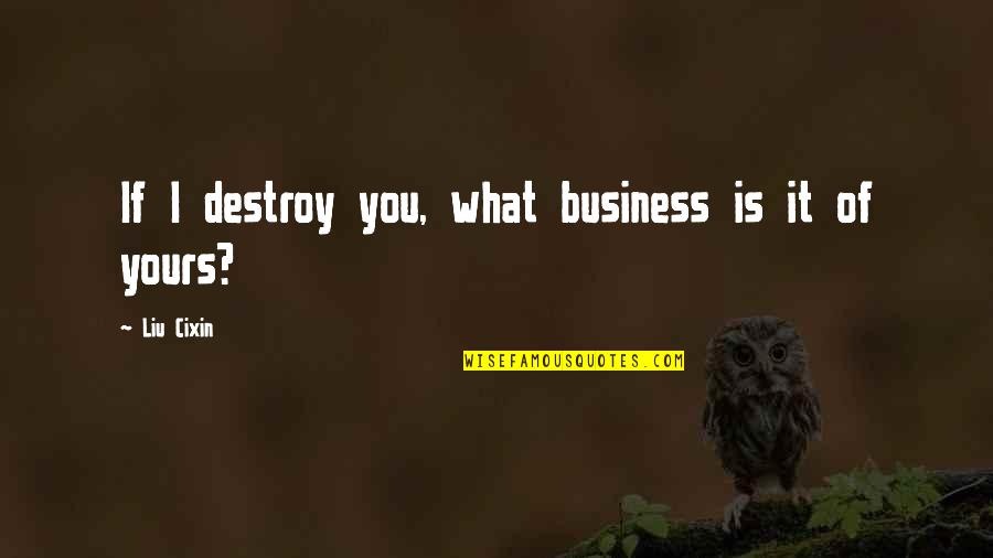 Parallel Journeys Quotes By Liu Cixin: If I destroy you, what business is it