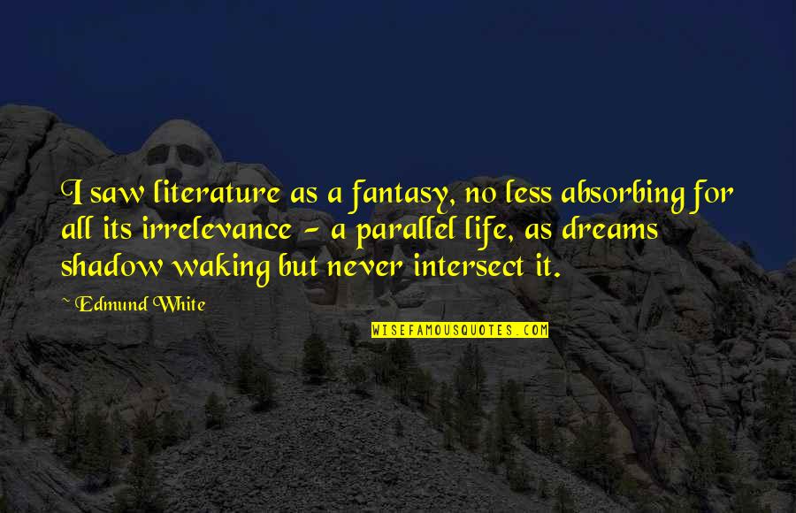 Parallel Quotes By Edmund White: I saw literature as a fantasy, no less