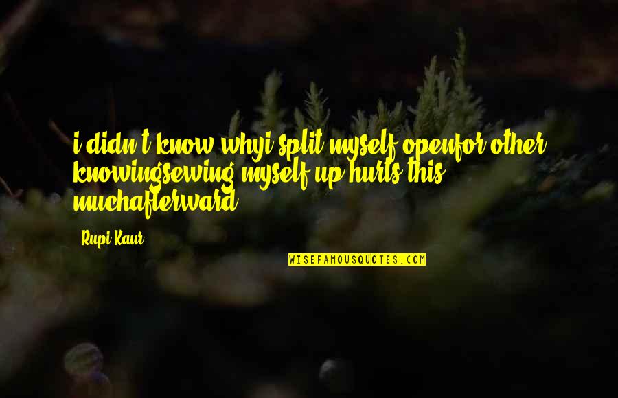 Paraluman Quotes By Rupi Kaur: i didn't know whyi split myself openfor other Paraluman Quotes By Rupi Kaur: i didn't know whyi split myself openfor other