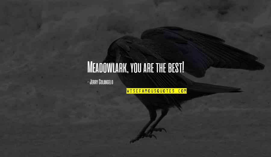 Paranormal Activity 4 Funny Quotes By Jerry Colangelo: Meadowlark, you are the best!