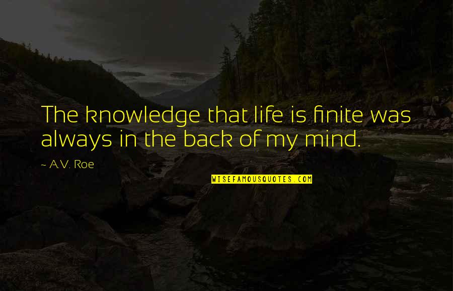 Paranormal Life Quotes By A.V. Roe: The knowledge that life is finite was always