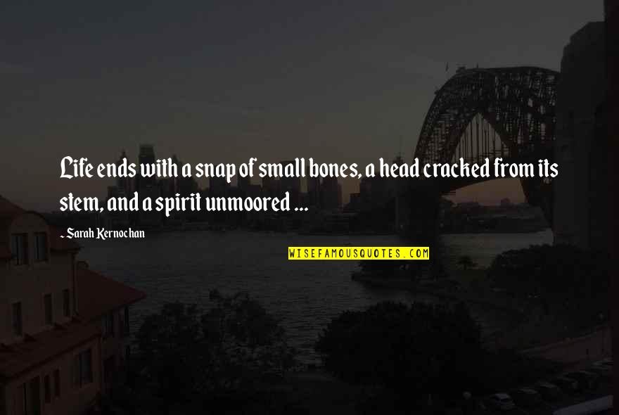 Paranormal Life Quotes By Sarah Kernochan: Life ends with a snap of small bones,