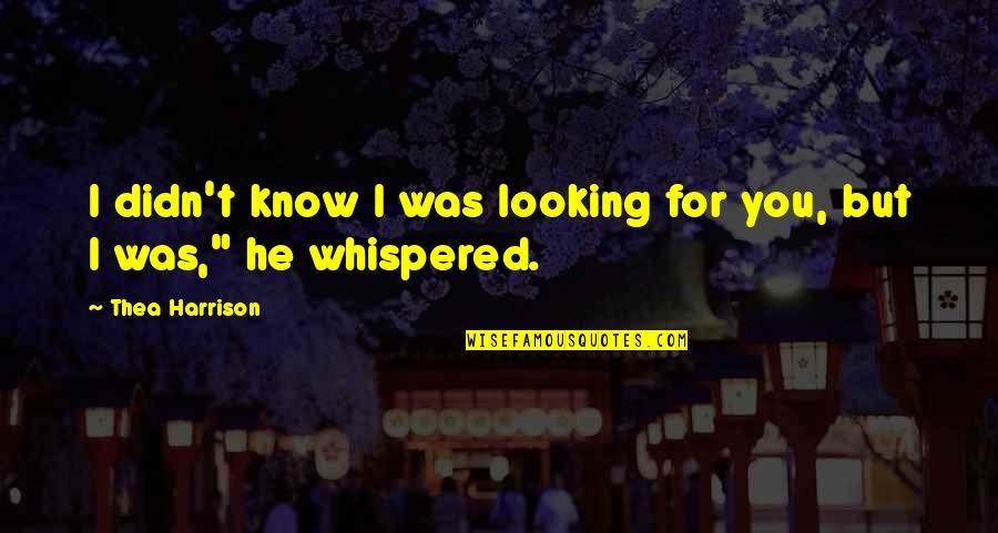 Paranormal Urban Fantasy Fantasy Quotes By Thea Harrison: I didn't know I was looking for you, Paranormal Urban Fantasy Fantasy Quotes By Thea Harrison: I didn't know I was looking for you,