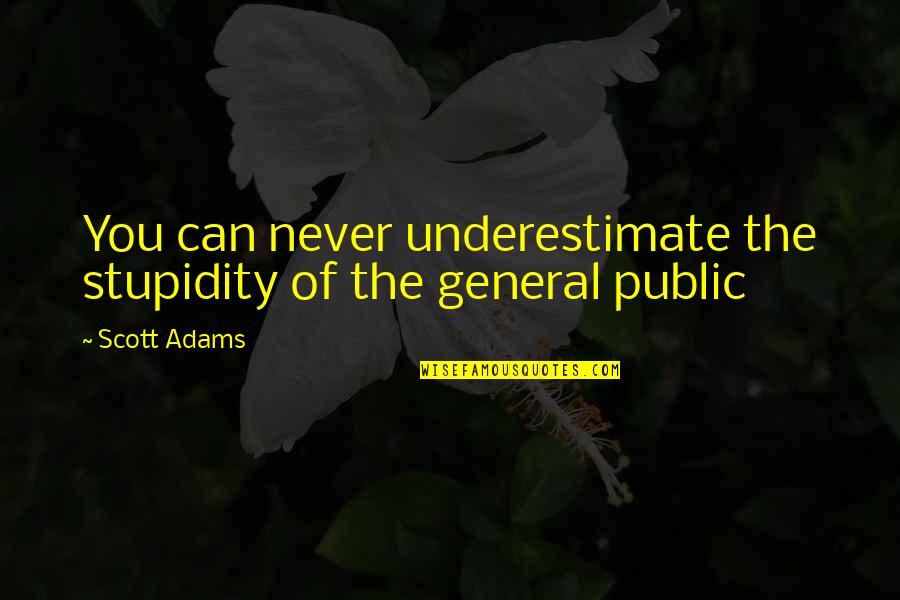 Paraphrase These Quotes By Scott Adams: You can never underestimate the stupidity of the