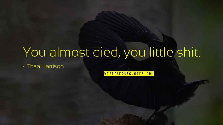 Pararon Filmacion Quotes By Thea Harrison: You almost died, you little shit. Pararon Filmacion Quotes By Thea Harrison: You almost died, you little shit.