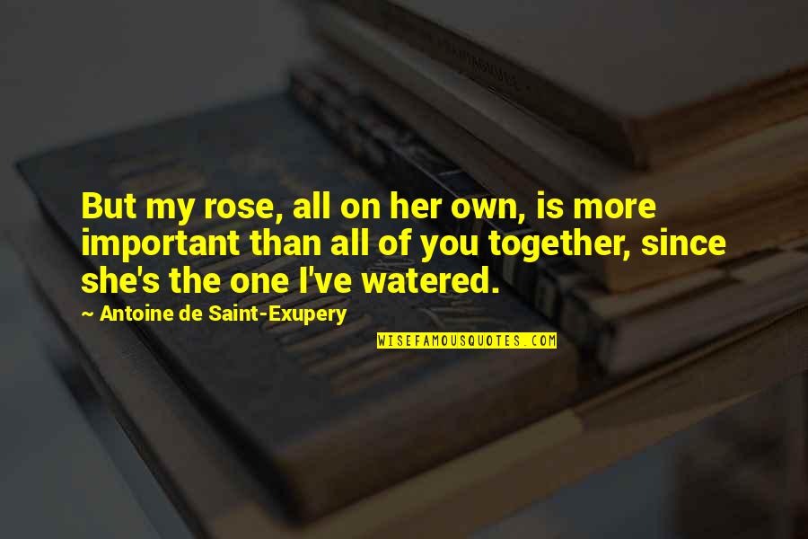Parashintos Quotes By Antoine De Saint-Exupery: But my rose, all on her own, is