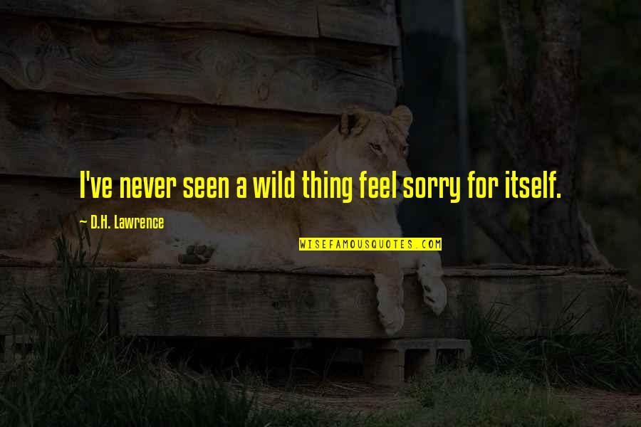 Parasitizing Quotes By D.H. Lawrence: I've never seen a wild thing feel sorry