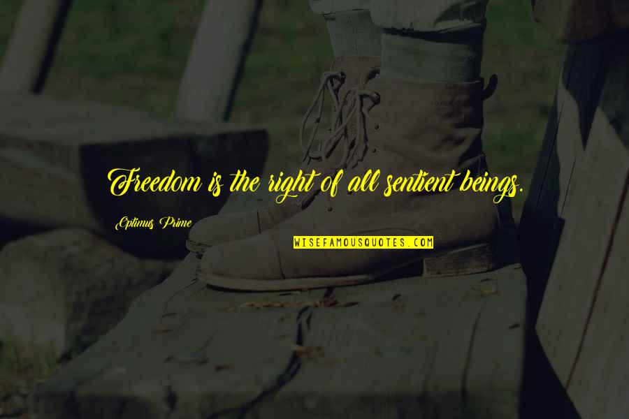Paraskeva Tik Quotes By Optimus Prime: Freedom is the right of all sentient beings. Paraskeva Tik Quotes By Optimus Prime: Freedom is the right of all sentient beings.