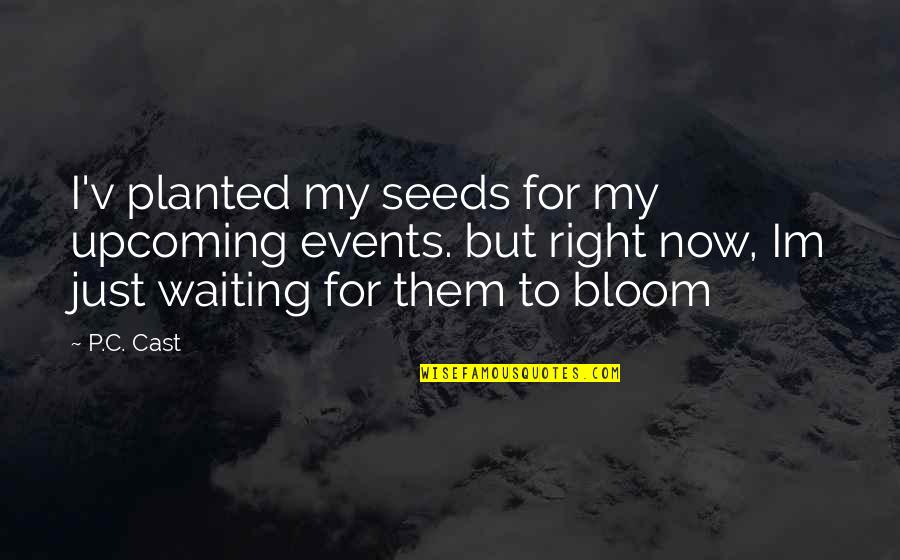 Paraskevas Paraskeva Quotes By P.C. Cast: I'v planted my seeds for my upcoming events.