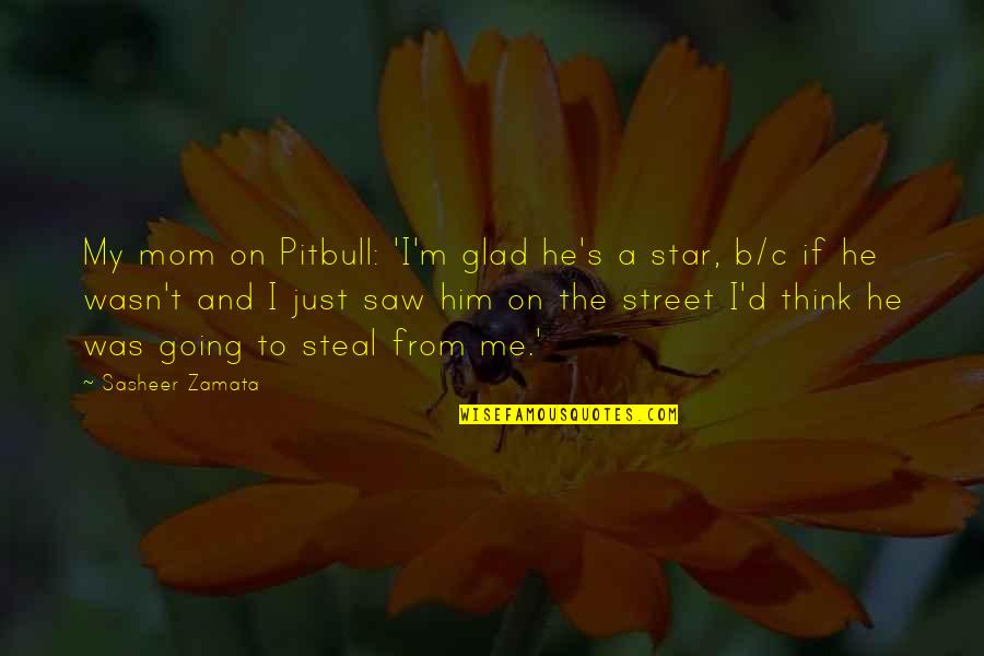 Parastaseis Quotes By Sasheer Zamata: My mom on Pitbull: 'I'm glad he's a